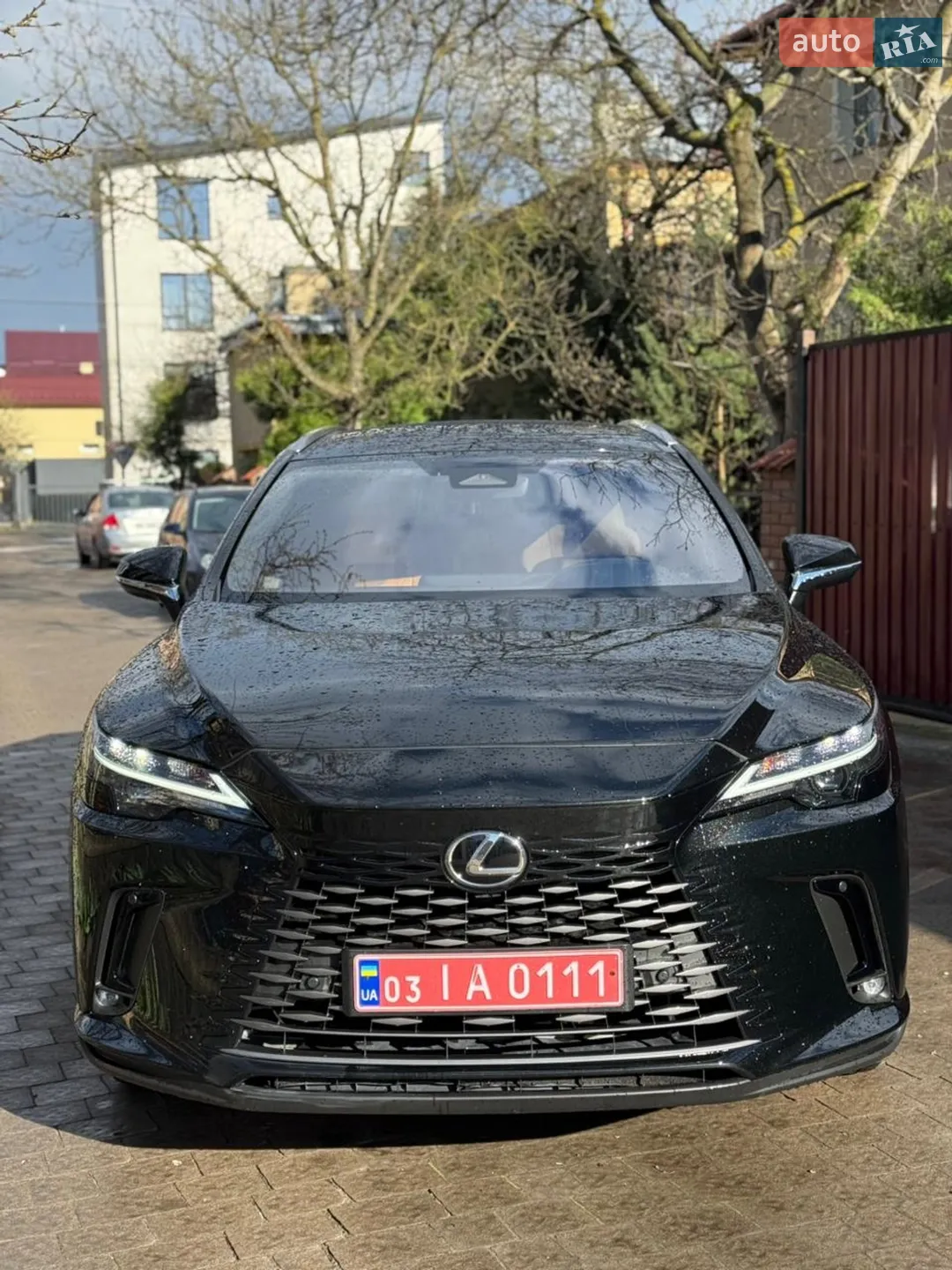 2024 Lexus RX - мініатюра 18