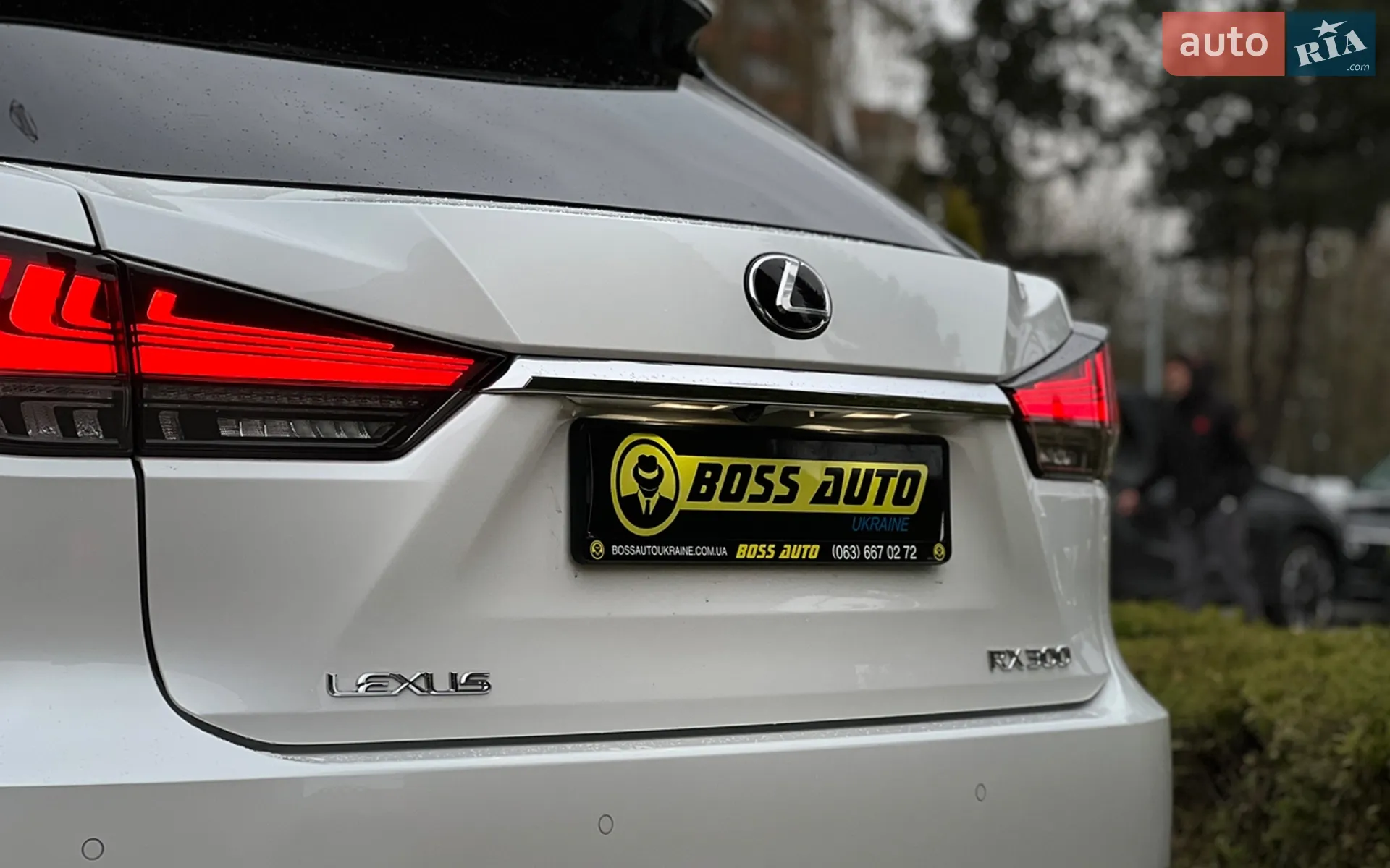 2019 Lexus RX - мініатюра 31