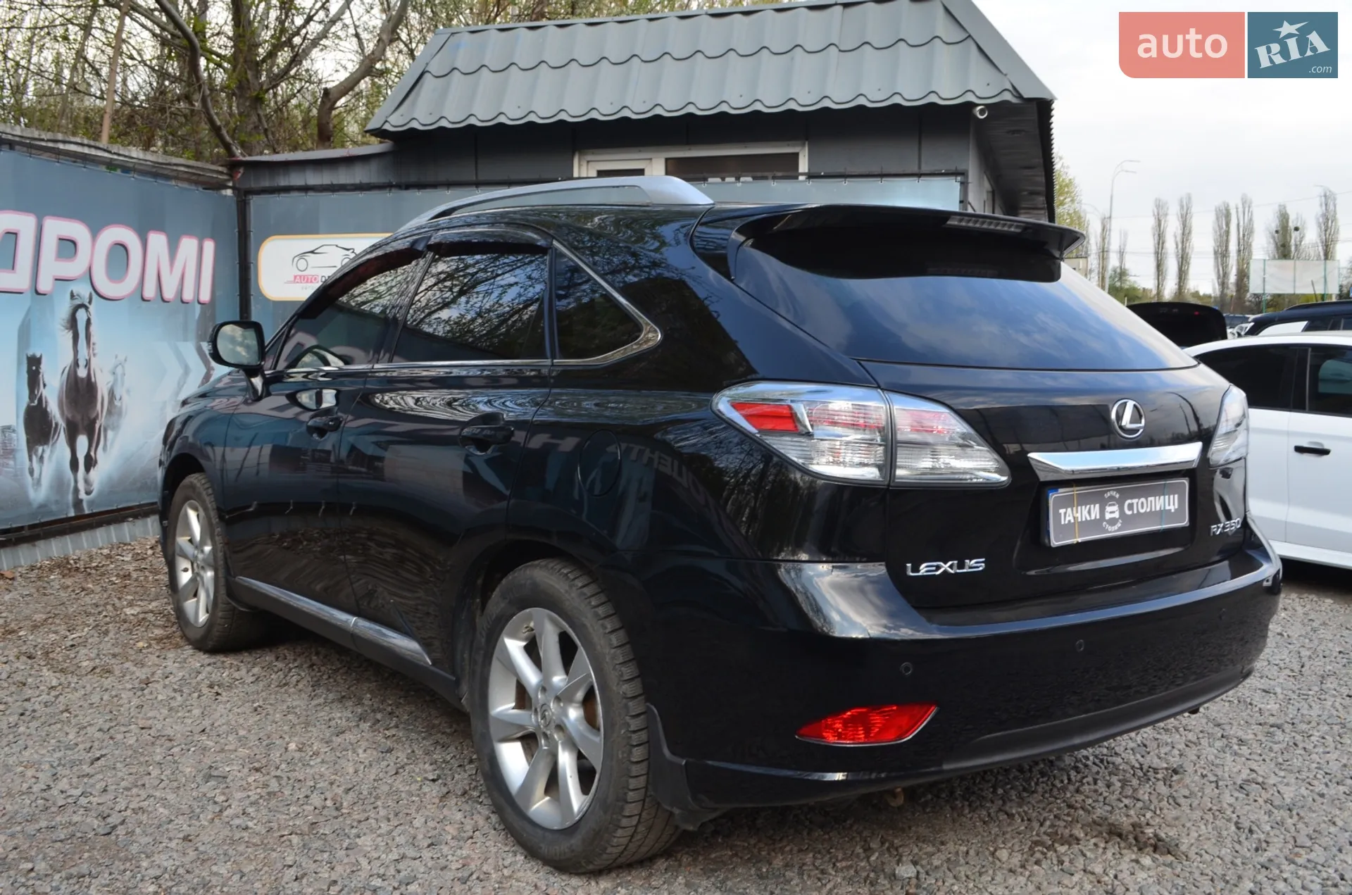 2010 Lexus RX - мініатюра 8