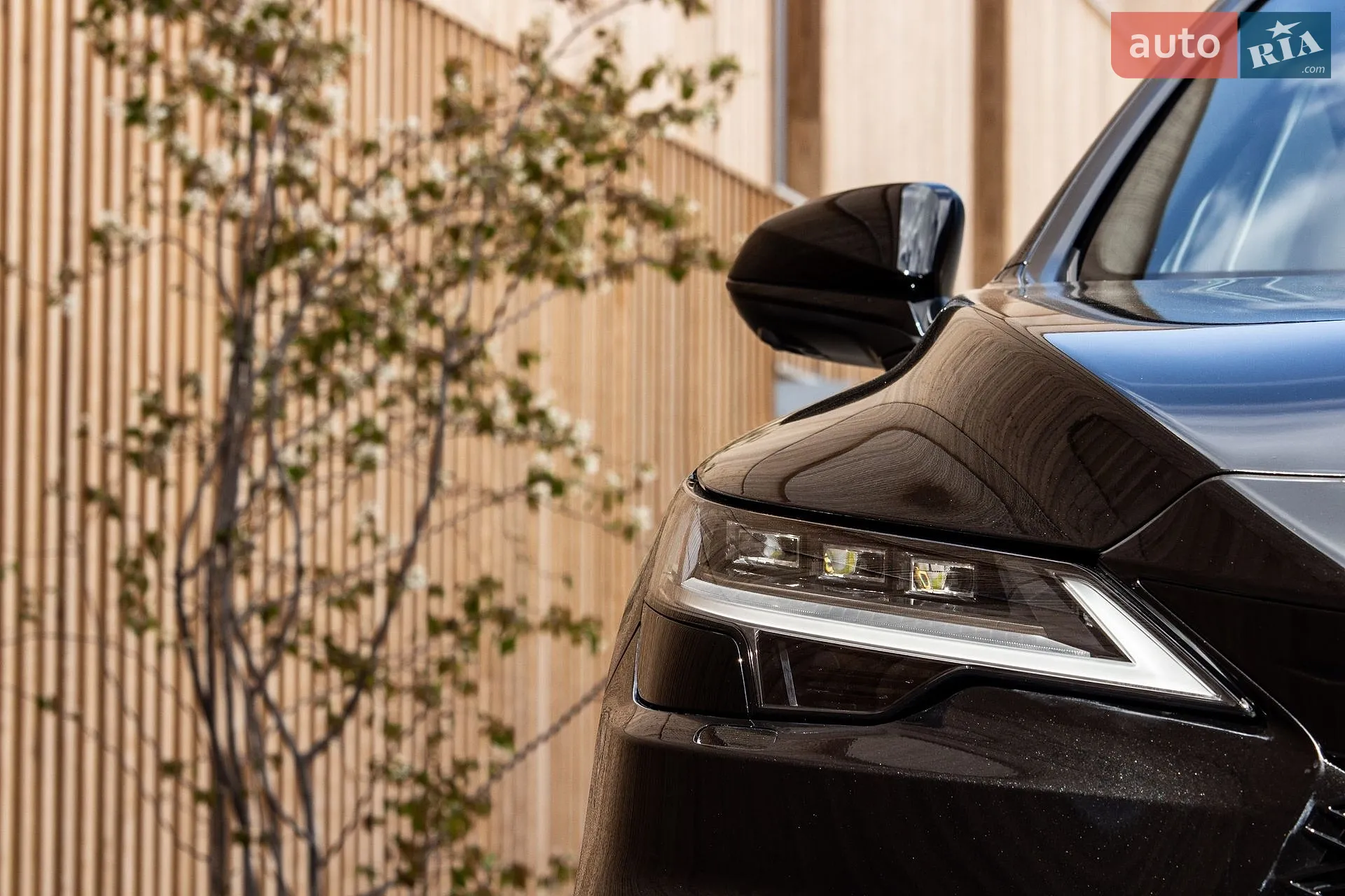 2024 Lexus RX - мініатюра 18