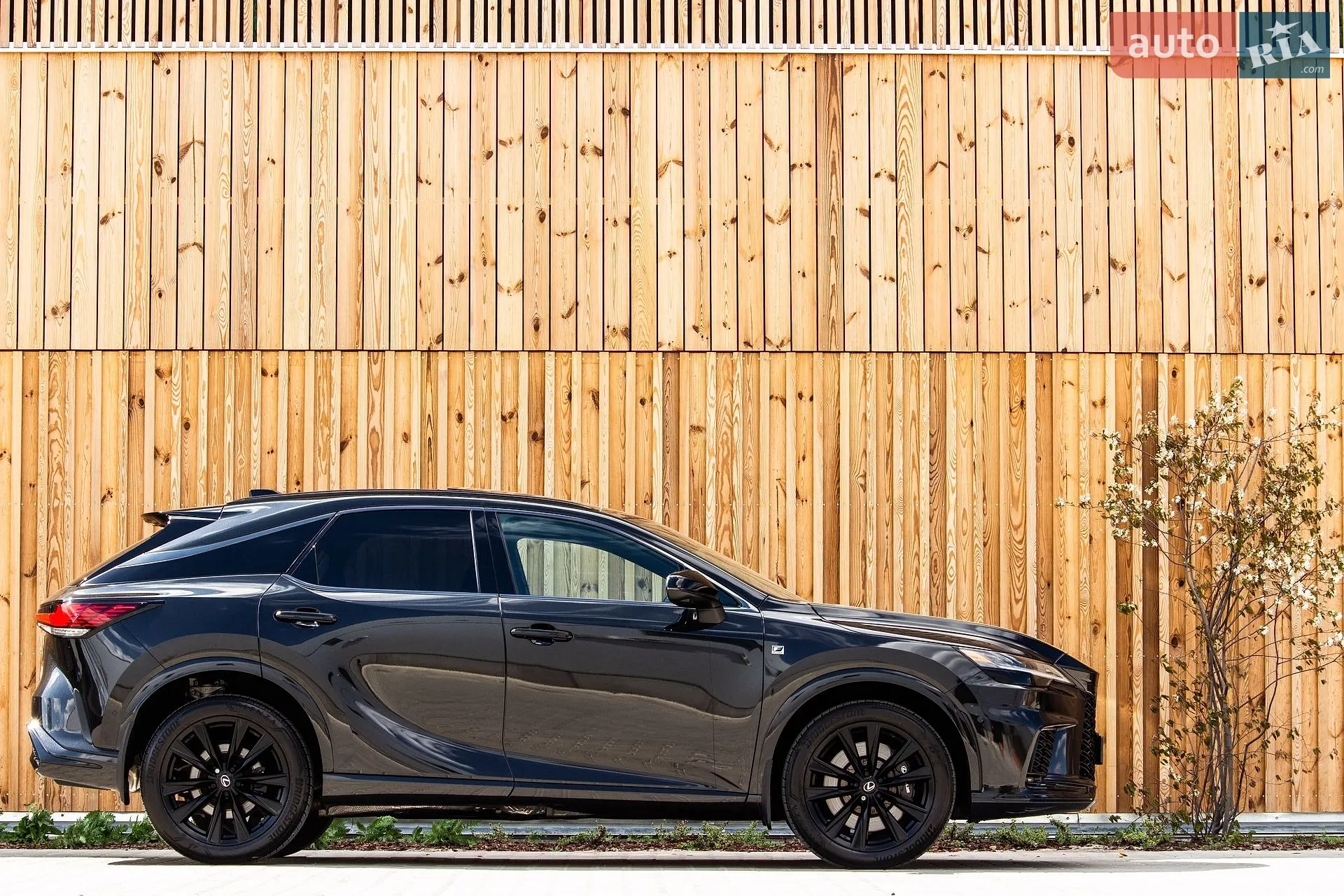2024 Lexus RX - мініатюра 25