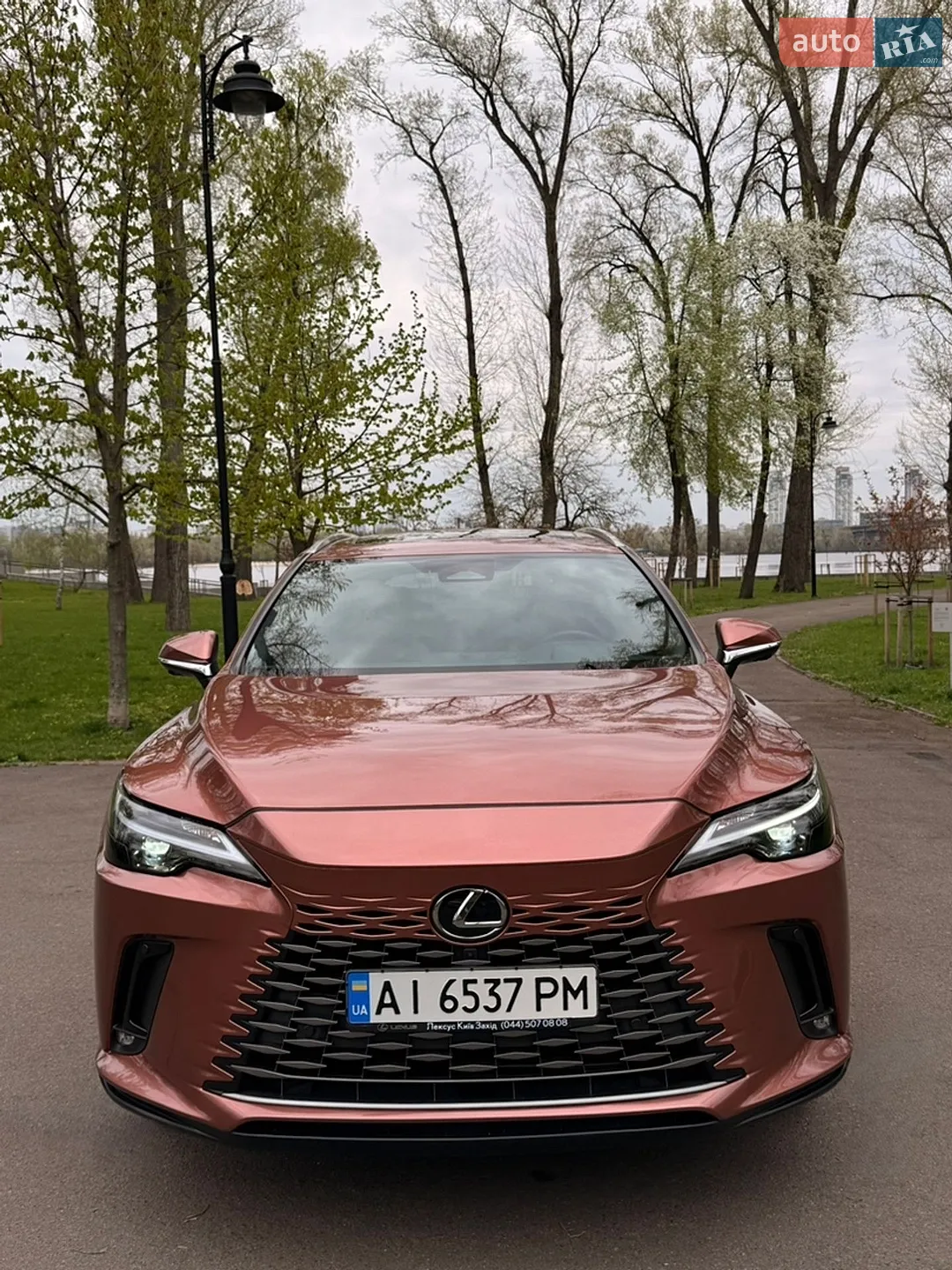 2023 Lexus RX - мініатюра 9