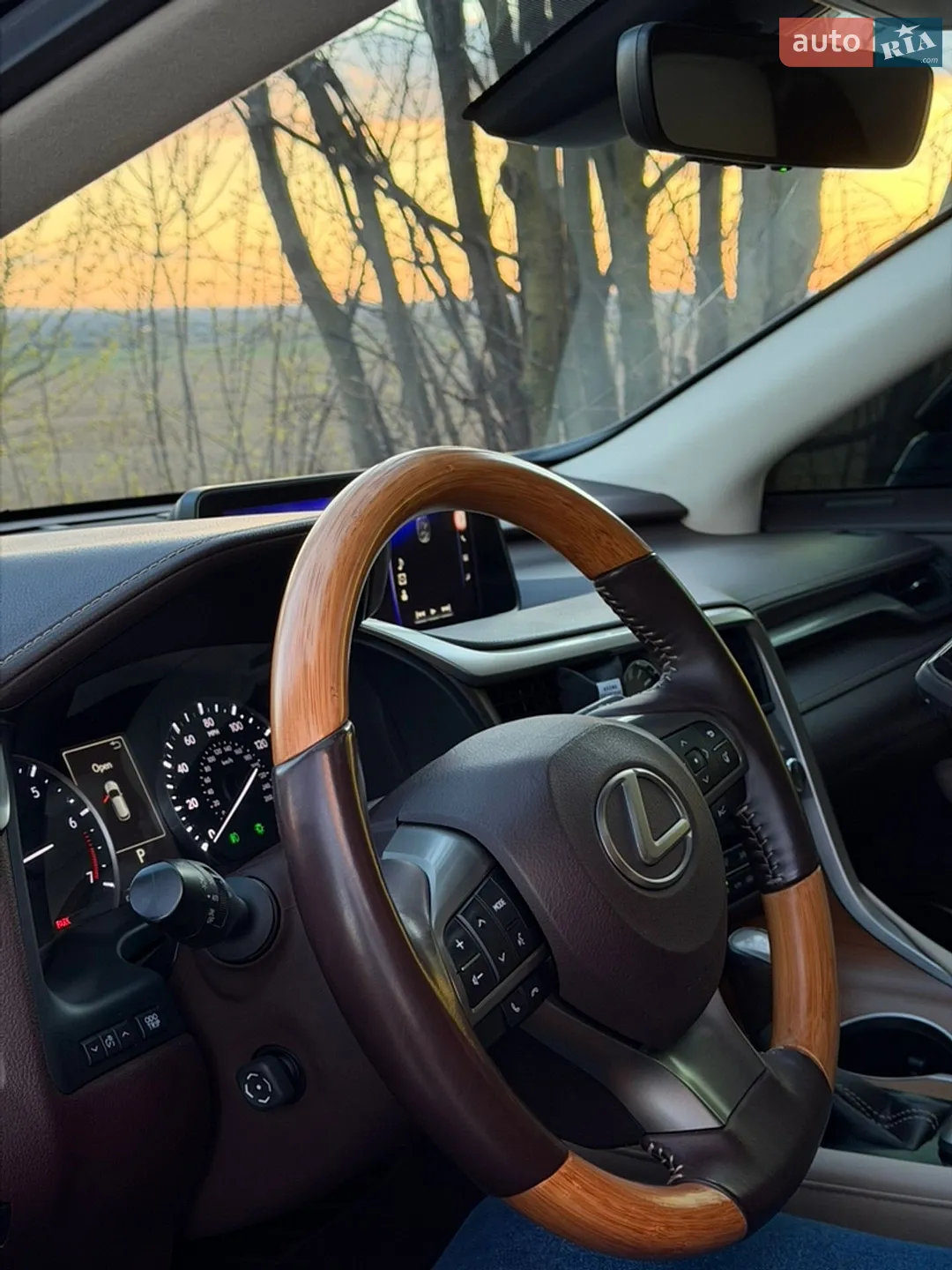 2015 Lexus RX - мініатюра 48