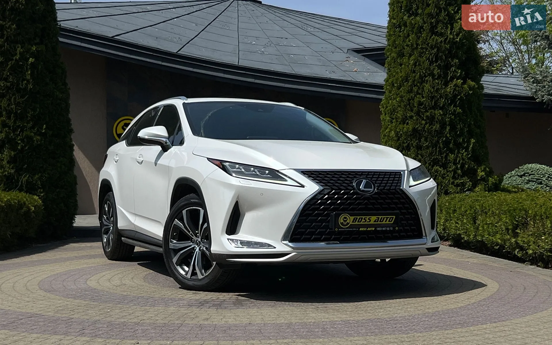 2019 Lexus RX - фото 1