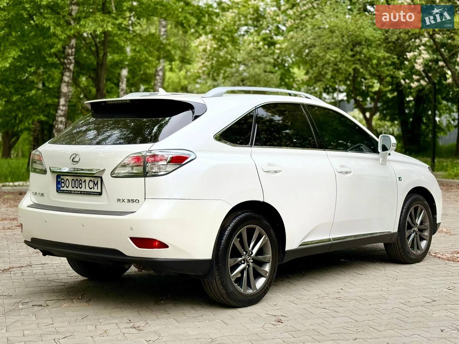 2010 Lexus RX - мініатюра 13