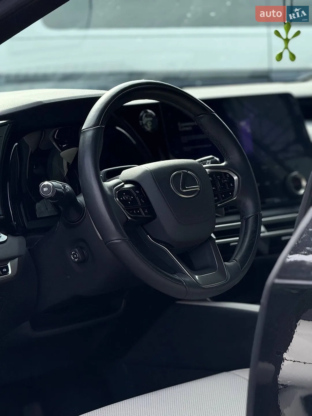 2024 Lexus RX - мініатюра 19