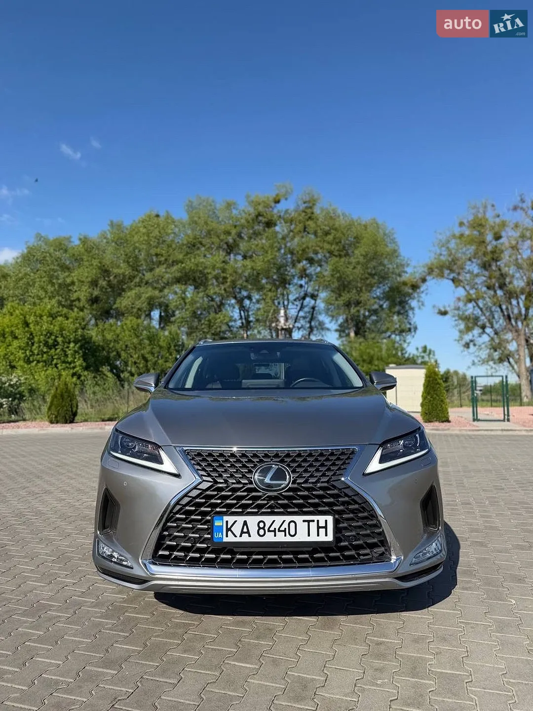 2019 Lexus RX - мініатюра 8