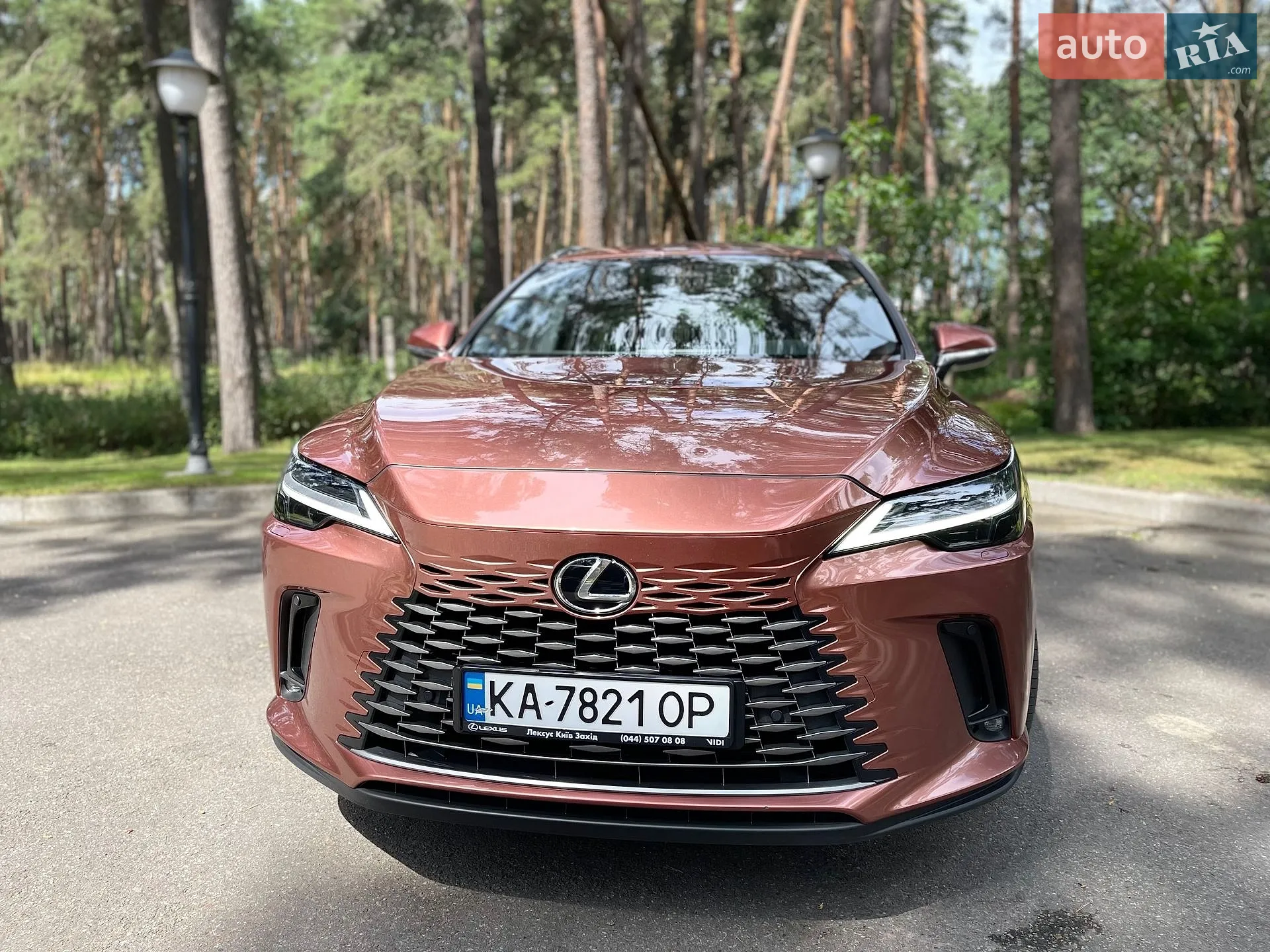 2024 Lexus RX - мініатюра 23