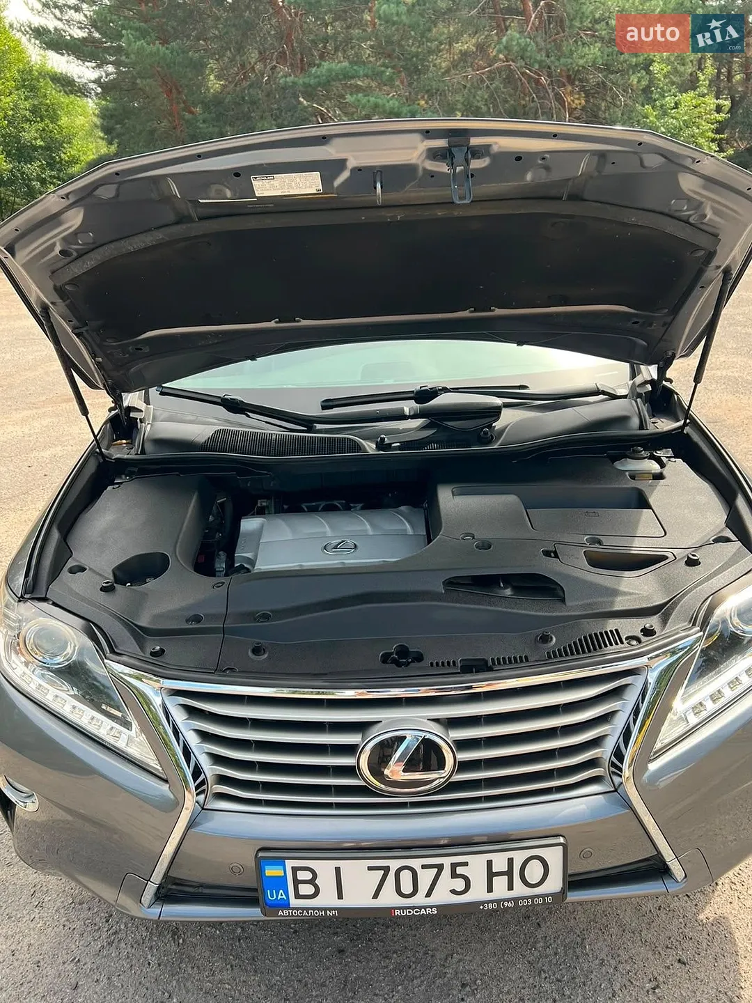 2013 Lexus RX - мініатюра 8