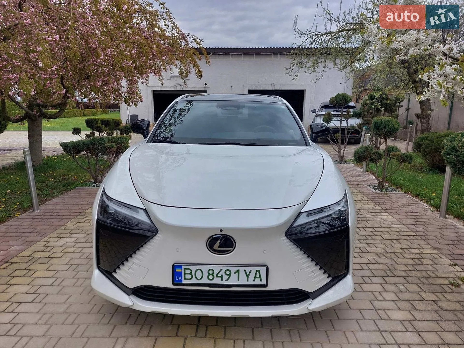 2024 Lexus RZ - мініатюра 10