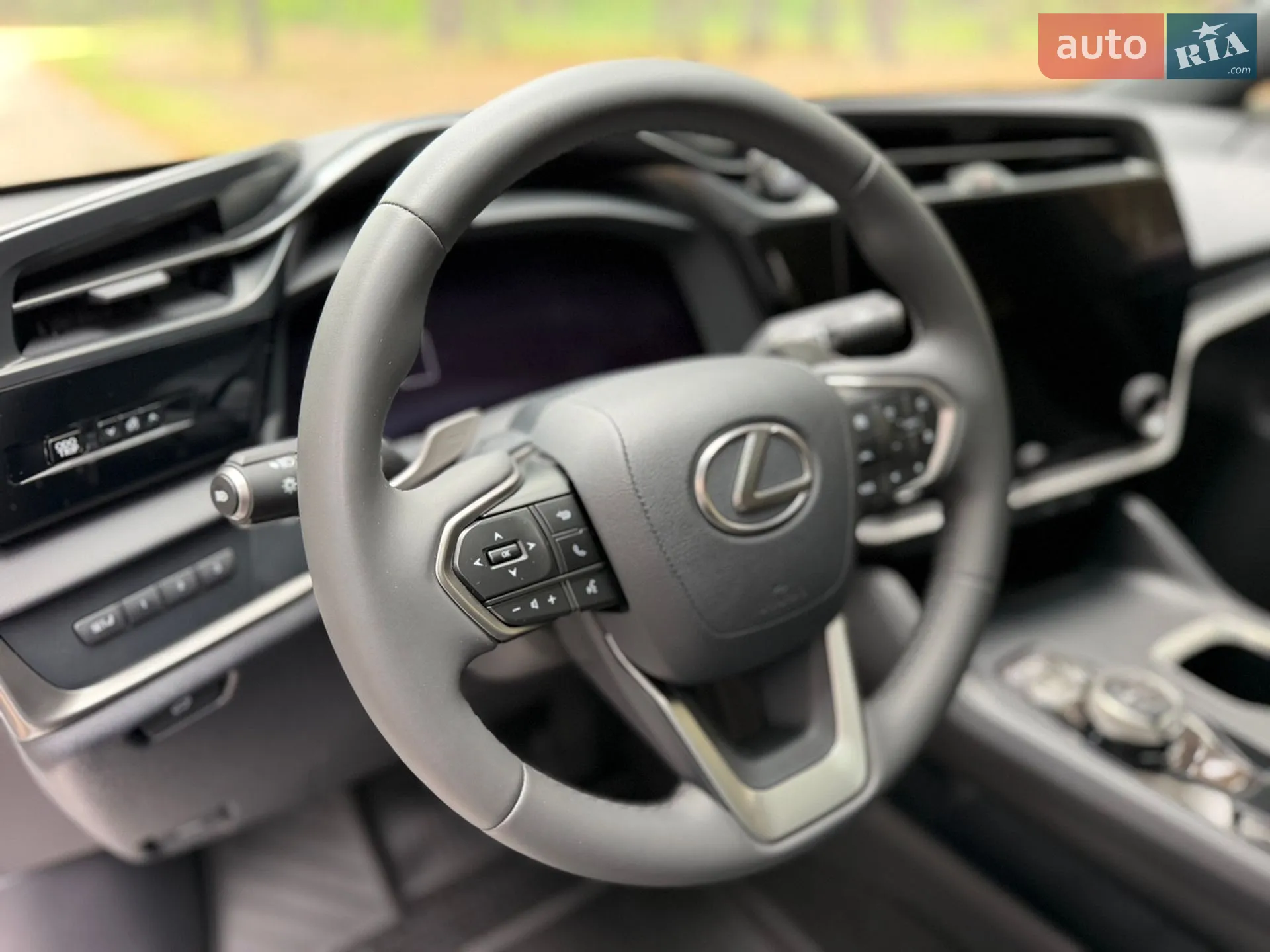 2024 Lexus RZ - мініатюра 50