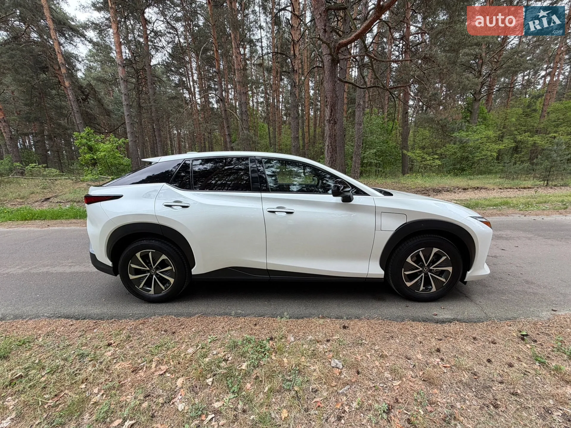 2024 Lexus RZ - мініатюра 87