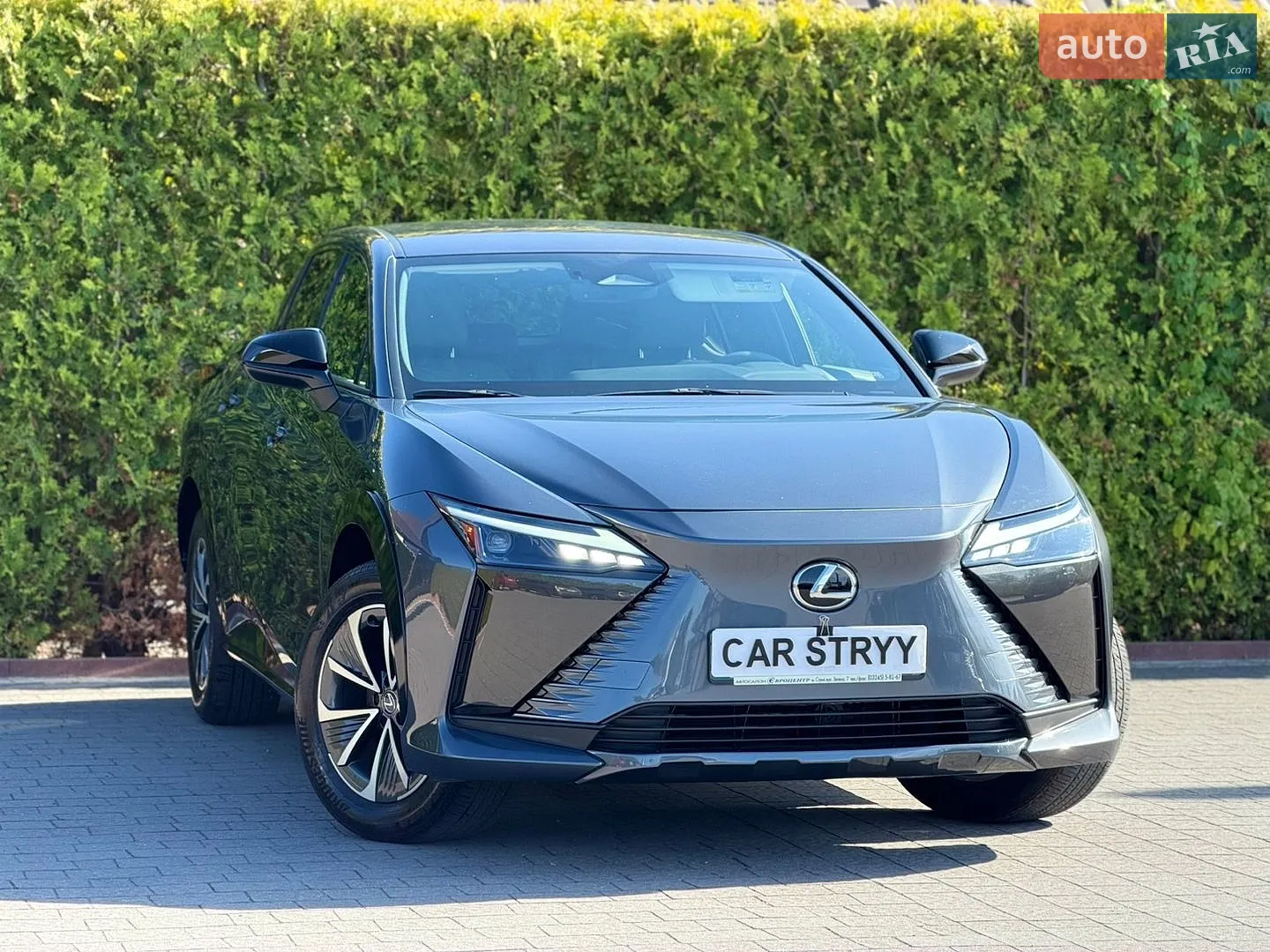 2024 Lexus RZ - мініатюра 2