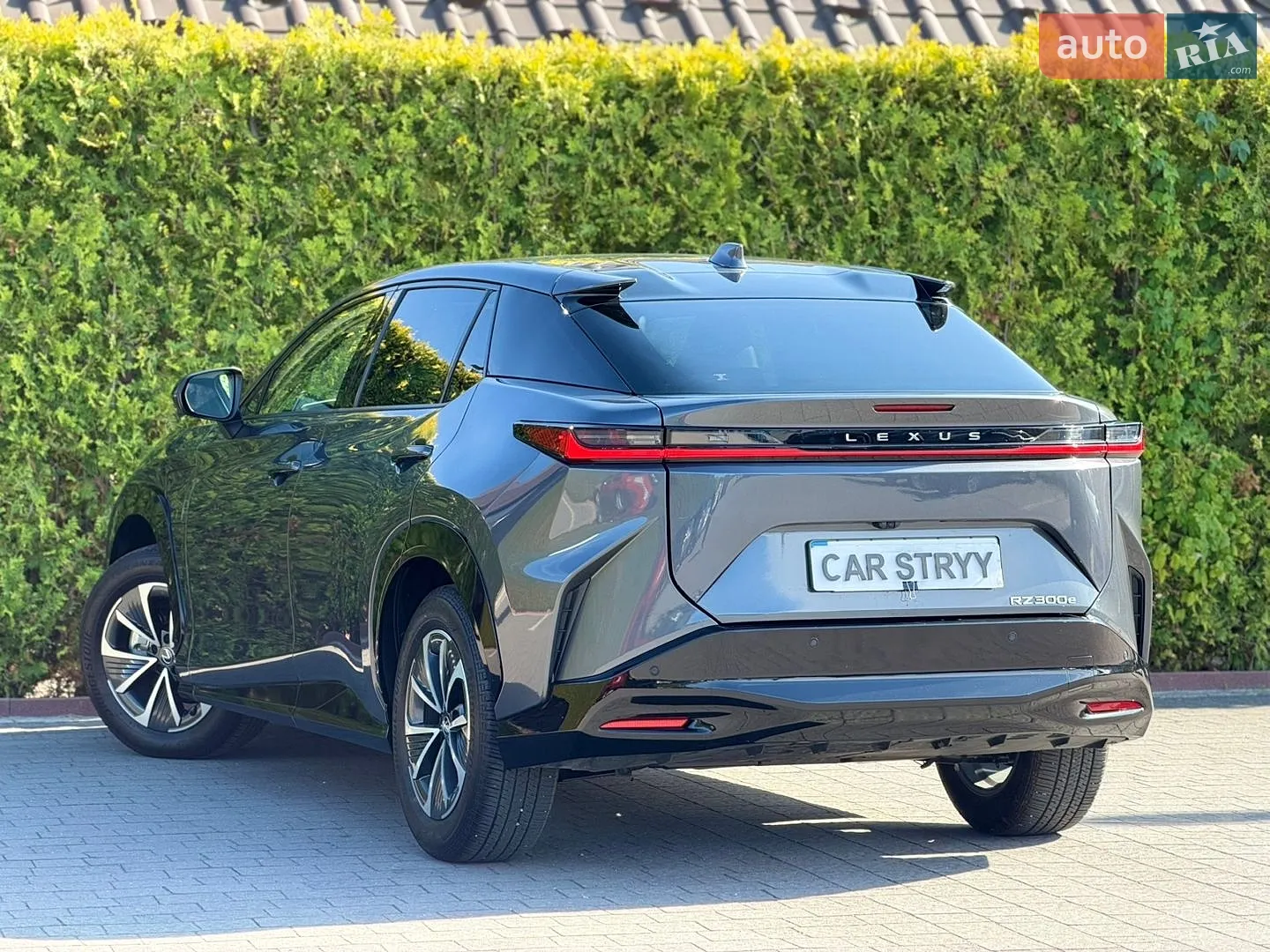 2024 Lexus RZ - мініатюра 14