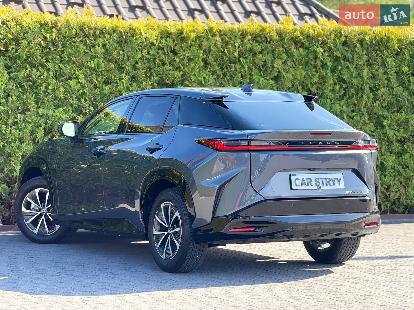 2024 Lexus RZ - мініатюра 15