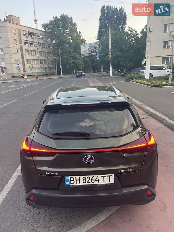 Внедорожник / Кроссовер Lexus UX 2020 в Одессе