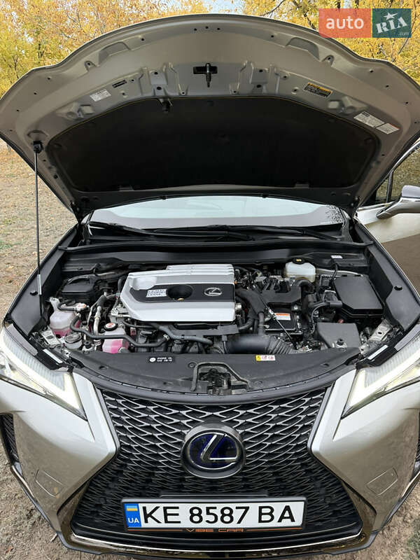 Внедорожник / Кроссовер Lexus UX 2020 в Днепре фото 25 Внедорожник / Кроссовер Lexus UX 2020 в Днепре