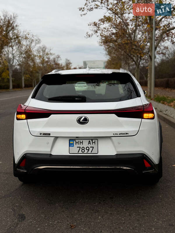 Внедорожник / Кроссовер Lexus UX 2021 в Одессе фото 8 Внедорожник / Кроссовер Lexus UX 2021 в Одессе