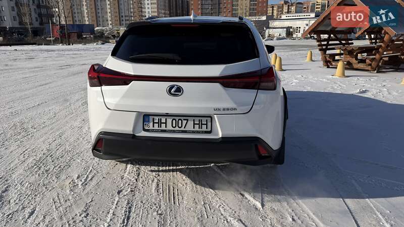 Внедорожник / Кроссовер Lexus UX 2019 в Одессе