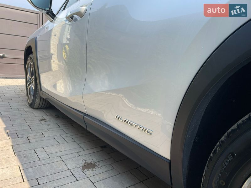 Внедорожник / Кроссовер Lexus UX 2020 в Ужгороде