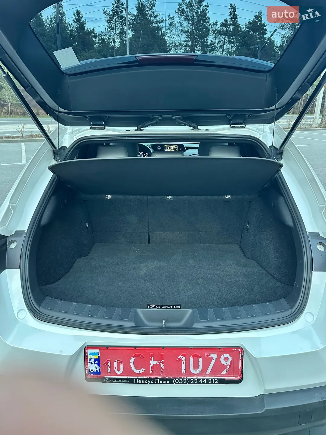 2019 Lexus UX - мініатюра 16