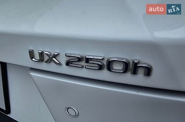 Внедорожник / Кроссовер Lexus UX 2021 в Одессе