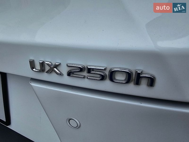 Внедорожник / Кроссовер Lexus UX 2021 в Одессе