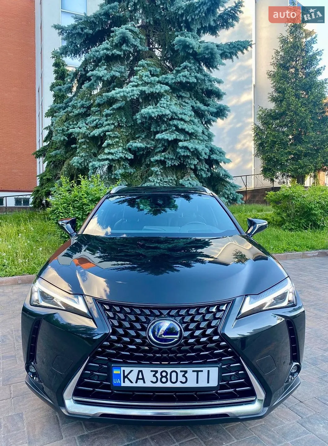 2021 Lexus UX - мініатюра 8