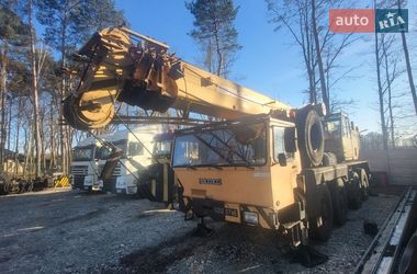Автокран Liebherr LTM 1060/2 1987 в Тернополе