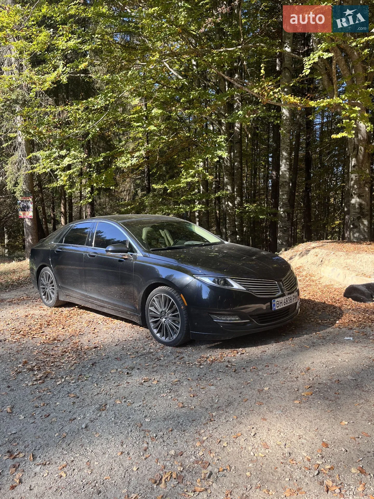 2014 Lincoln MKZ - мініатюра 18