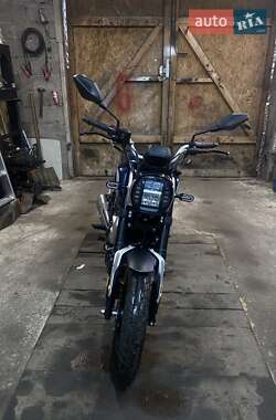 Мотоцикл Многоцелевой (All-round) Loncin LX 250-12C 2020 в 