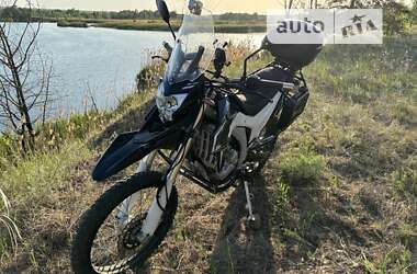 Мотоцикл Многоцелевой (All-round) Loncin LX 300GY 2021 в Славянске