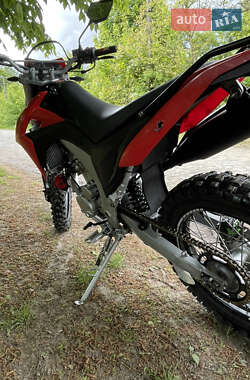 Мотоцикл Кросс Loncin  LX300GY-A DS2 Pro 2019 в 
