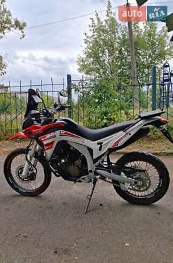 Мотоцикл Многоцелевой (All-round) Loncin  LX300GY-A DS2 Pro 2022 в Кропивницком
