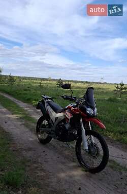 Мотоцикл Многоцелевой (All-round) Loncin  LX300GY-A DS2 Pro 2022 в 