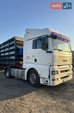 Тягач MAN 18.440 2007 в Захарьевке