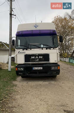 Тентованый MAN 19.463 1998 в Хмельницком