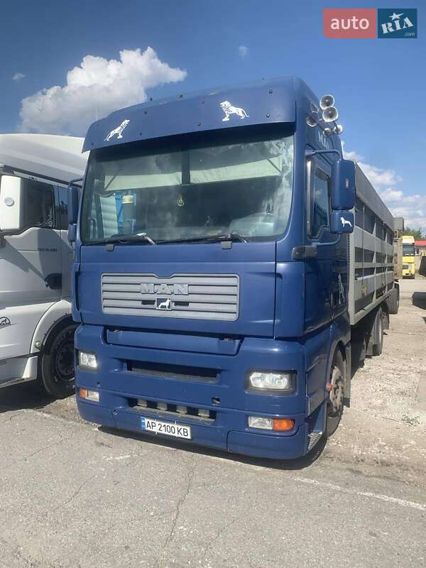 Самоскид MAN 26.480 2004 в Запоріжжі