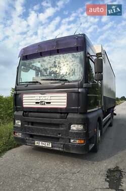 Контейнеровоз MAN TGA 2001 в Вінниці