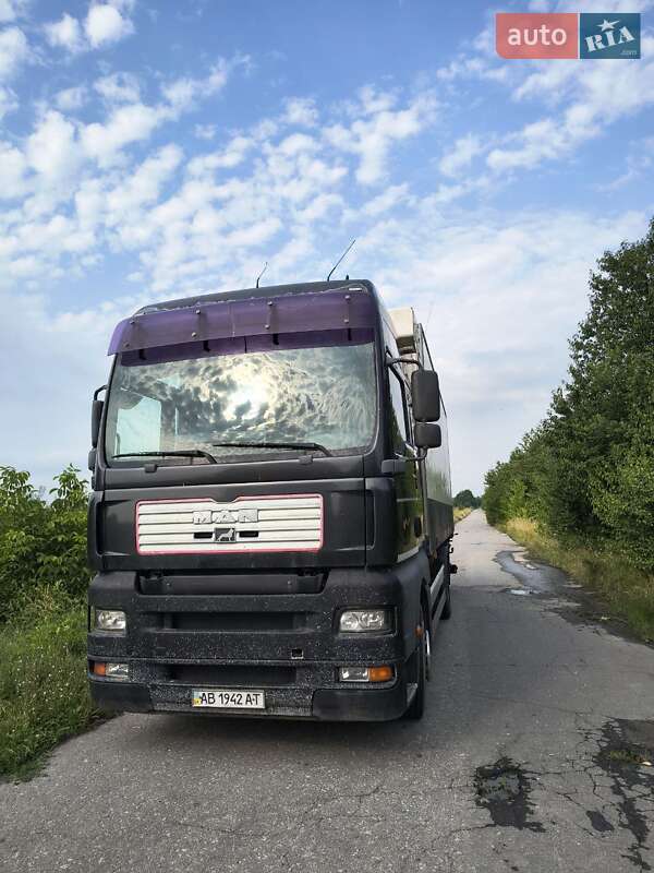 Контейнеровоз MAN TGA 2001 в Вінниці фото 5 Контейнеровоз MAN TGA 2001 в Вінниці