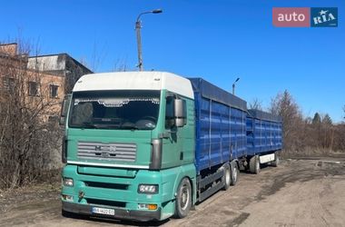 Контейнеровоз MAN TGA 2007 в Кропивницькому