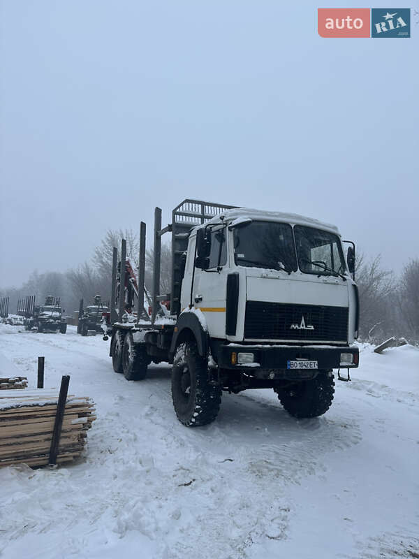 Лесовоз / Сортиментовоз МАЗ 6317Х9 2015 в Овруче