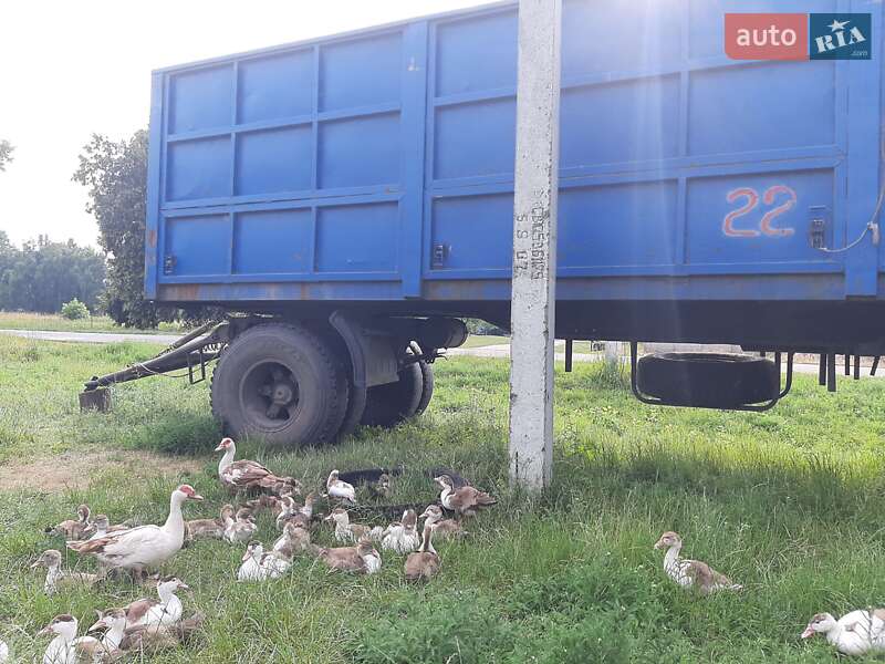 Борт МАЗ 8378 1994 в Недригайлове