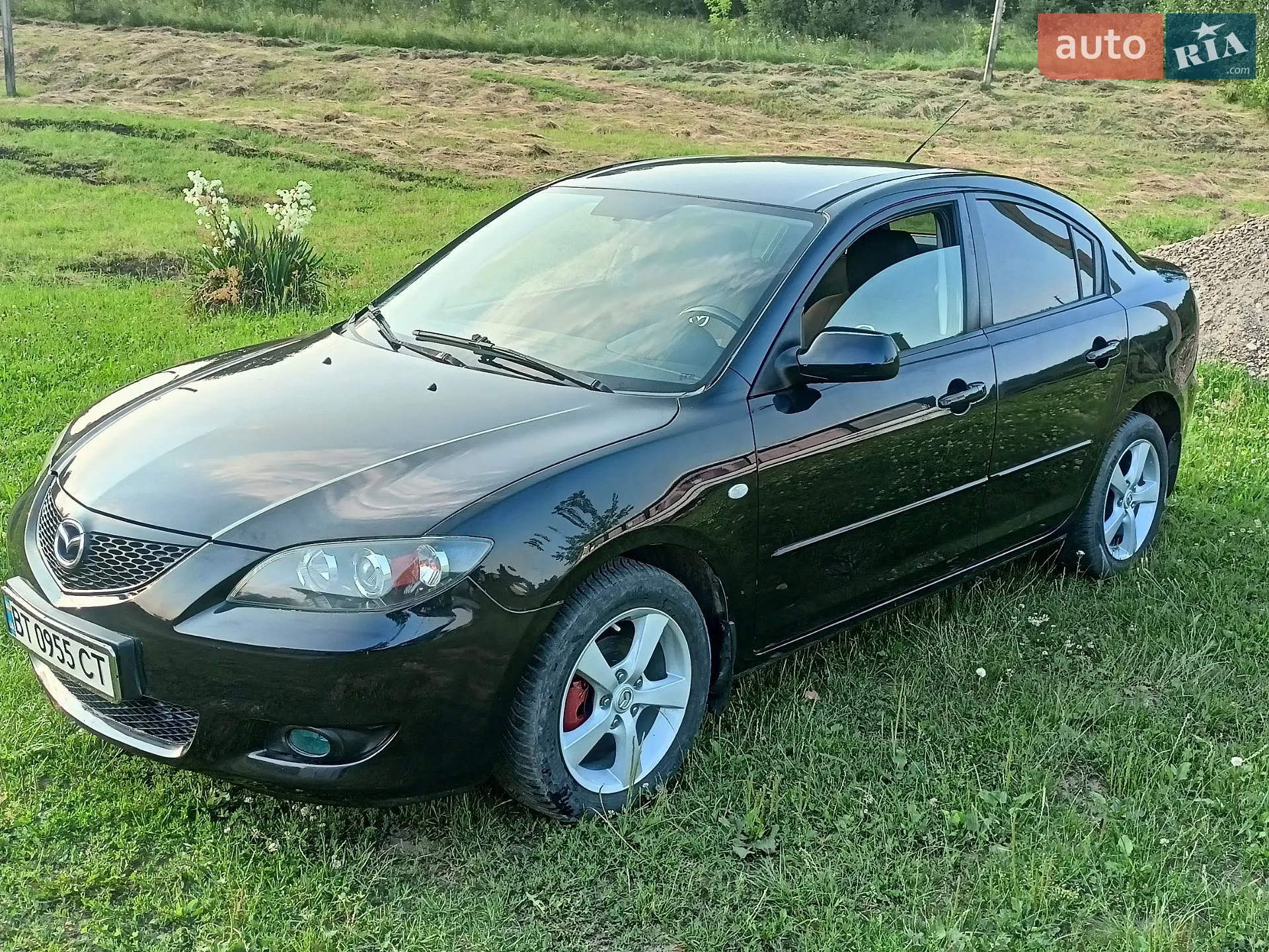 Mazda 3 2004 VIN JMZBK12Z251169108 фото оголошення 20 з 23