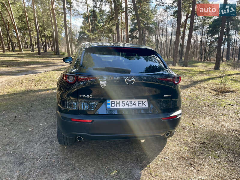 Внедорожник / Кроссовер Mazda CX-30 2020 в Ахтырке фото 9 Внедорожник / Кроссовер Mazda CX-30 2020 в Ахтырке