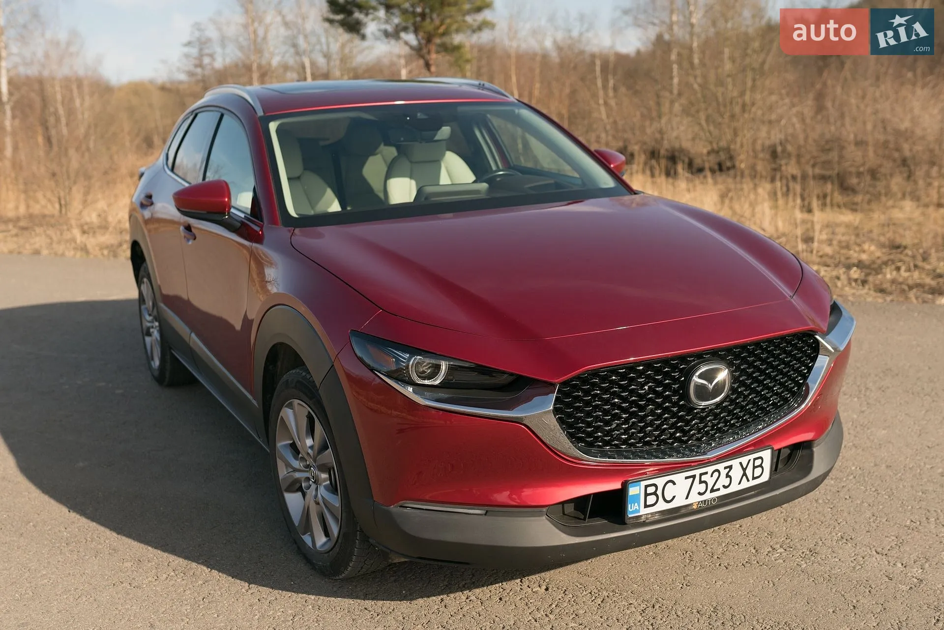 2020 Mazda CX-30 - мініатюра 21