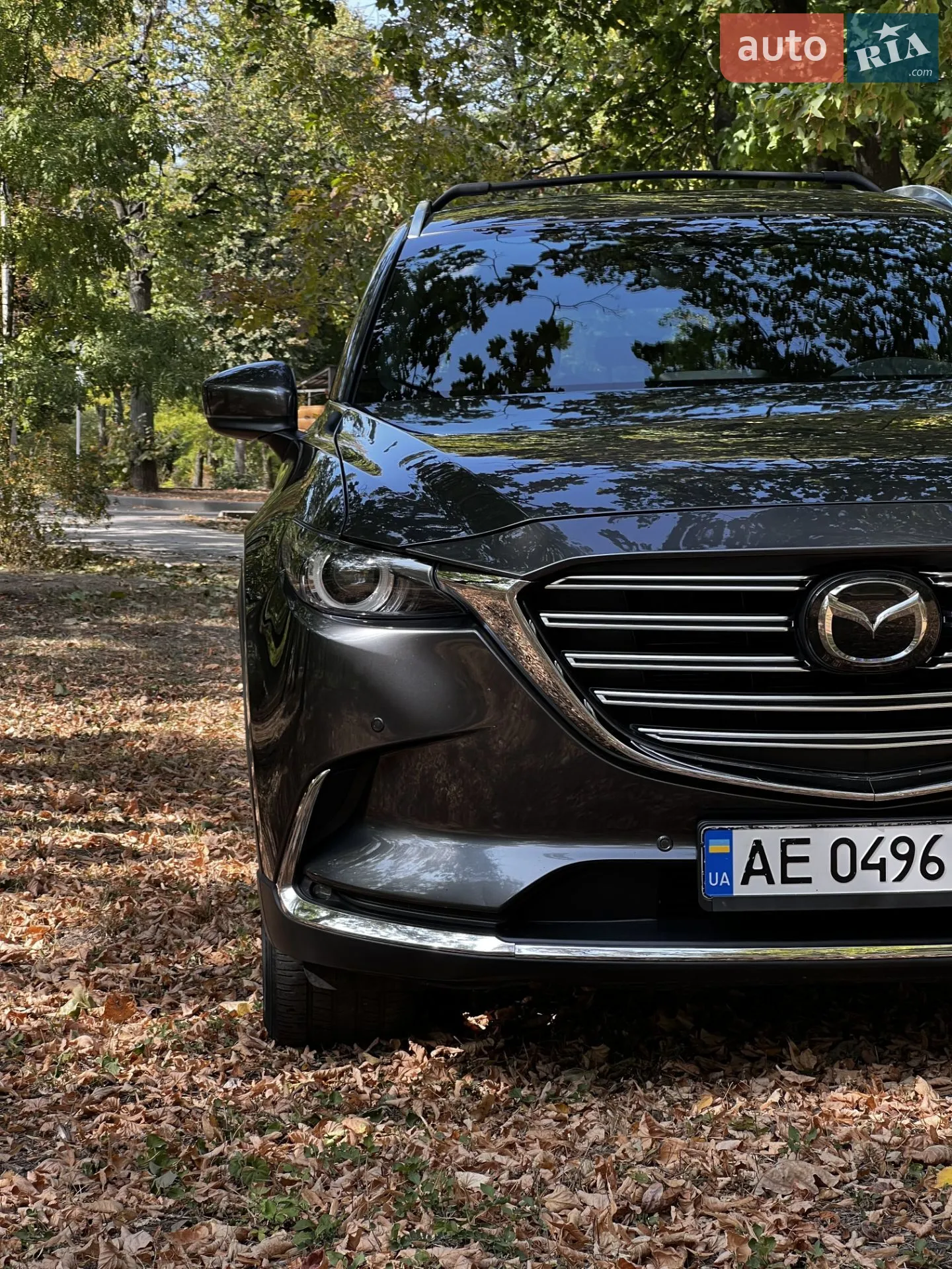2017 Mazda CX-9 - мініатюра 4