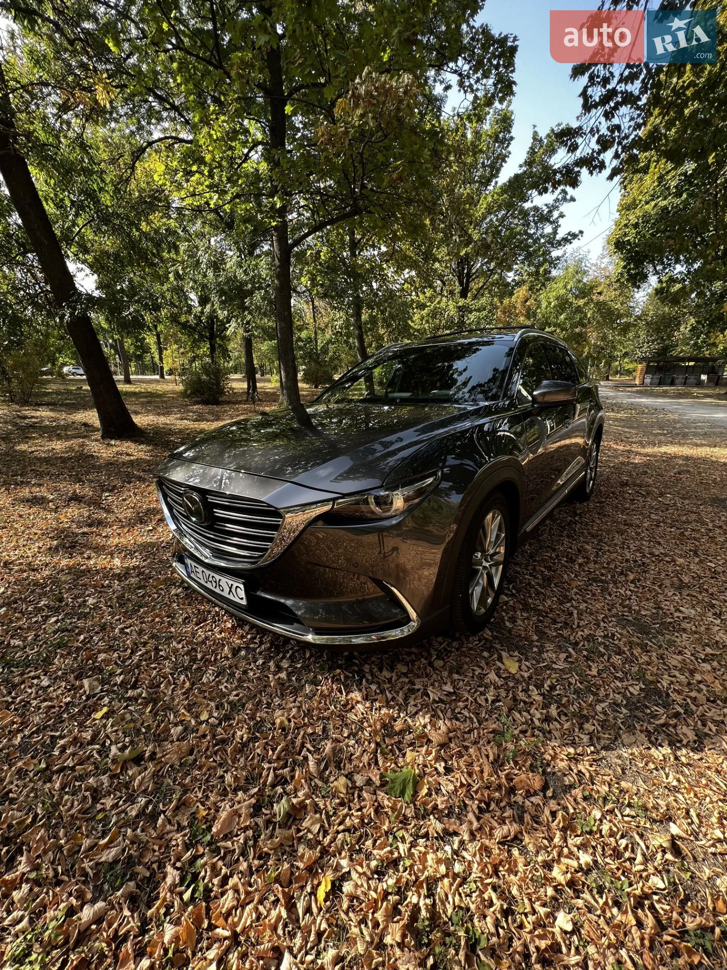 2017 Mazda CX-9 - мініатюра 10
