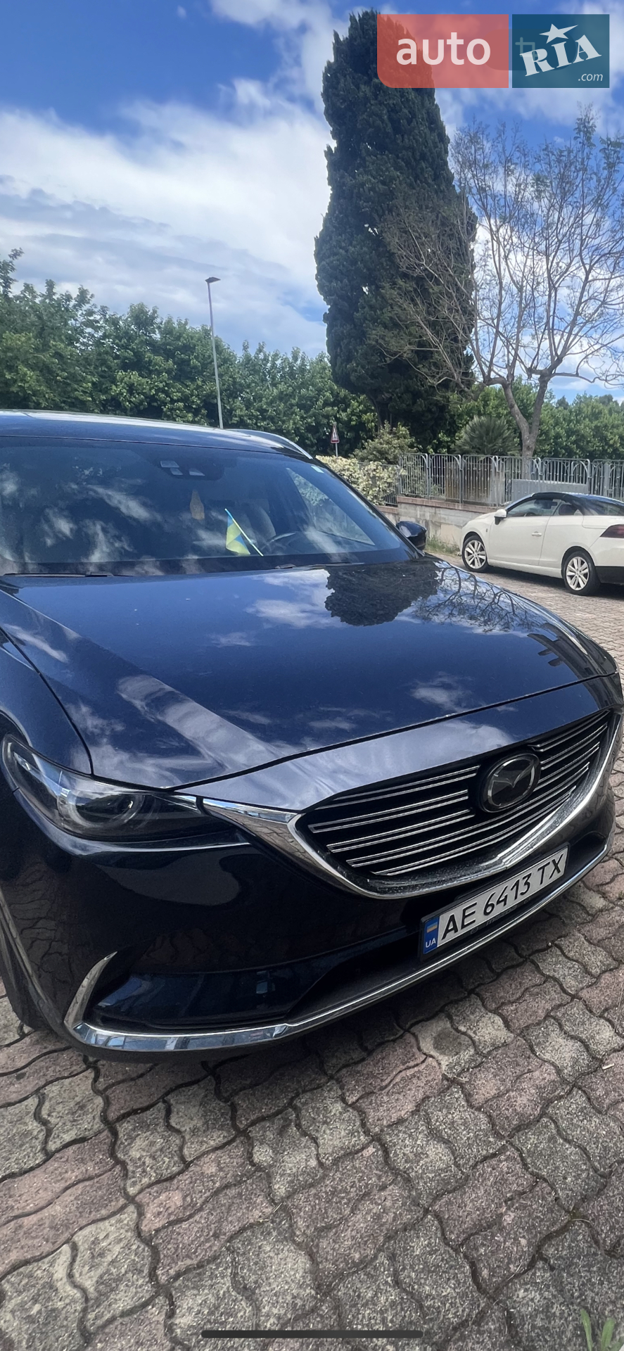 2016 Mazda CX-9 - мініатюра 3