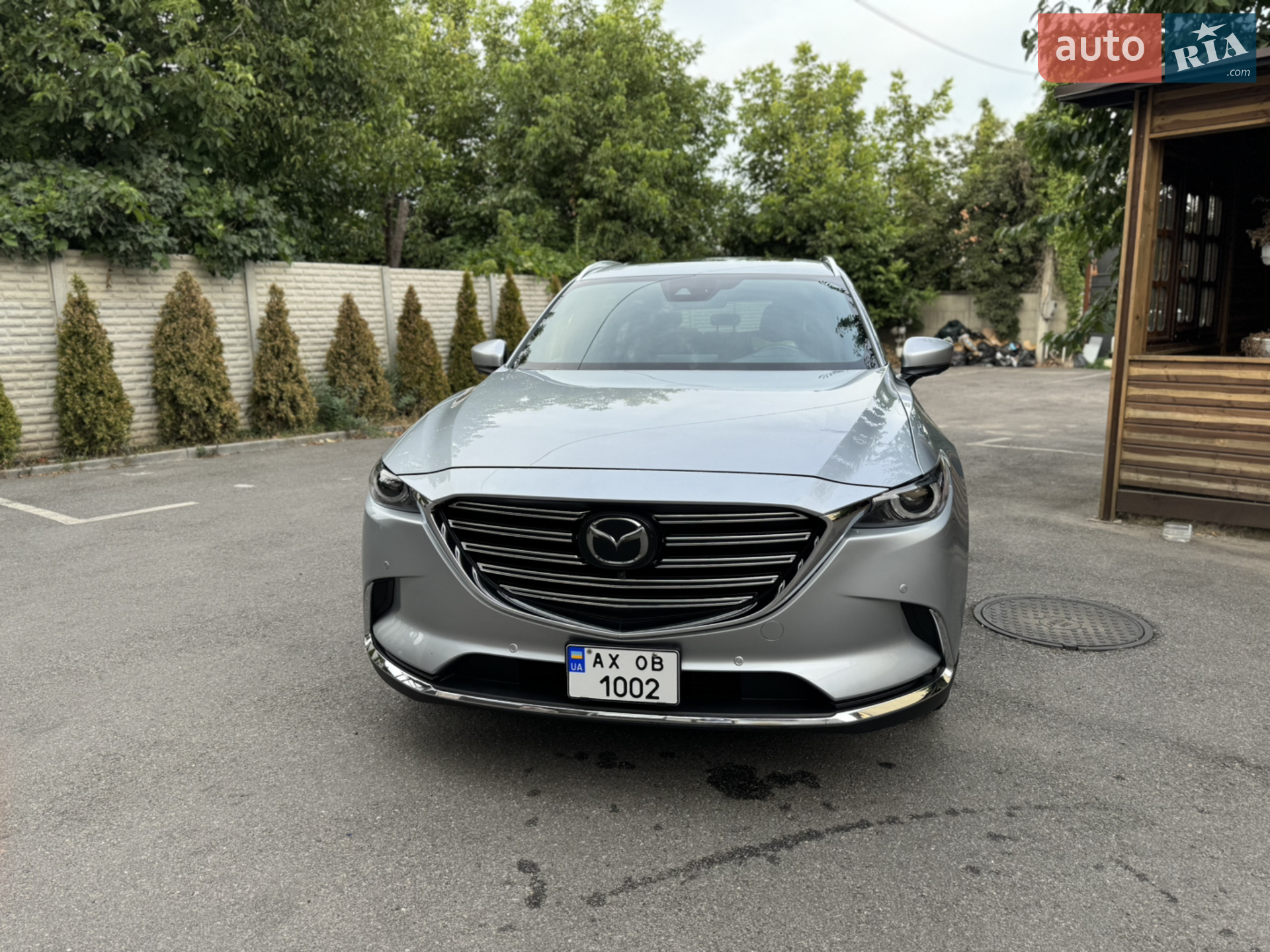 2020 Mazda CX-9 - мініатюра 3